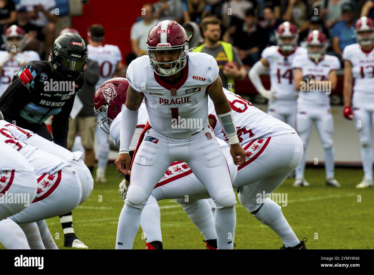 Ligue européenne de football, ELF/ match : les Lions de Prague aux Ravens de Munich le 09. Juin. 2024, dans le PARC uhlsport, Unterhaching, Allemagne, Europe Banque D'Images