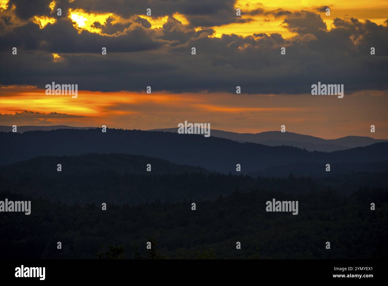 Coucher de soleil spectaculaire dans la forêt bavaroise 4 Banque D'Images