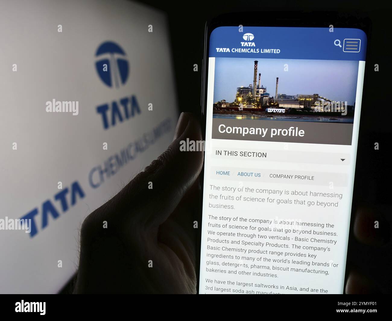 Stuttgart, Allemagne, 03-05-2024 : personne tenant un smartphone avec le site Web de la société chimique indienne Tata Chemicals Limited devant le logo. Concentrez-vous sur ce Banque D'Images