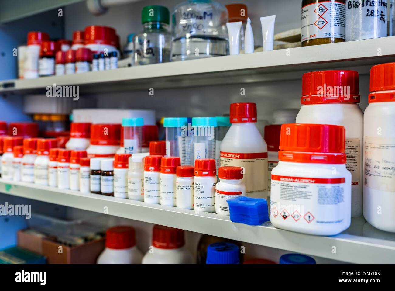 Réactifs chimiques organisés et conteneurs sur étagères de laboratoire, fond de laboratoire de biochimie Banque D'Images