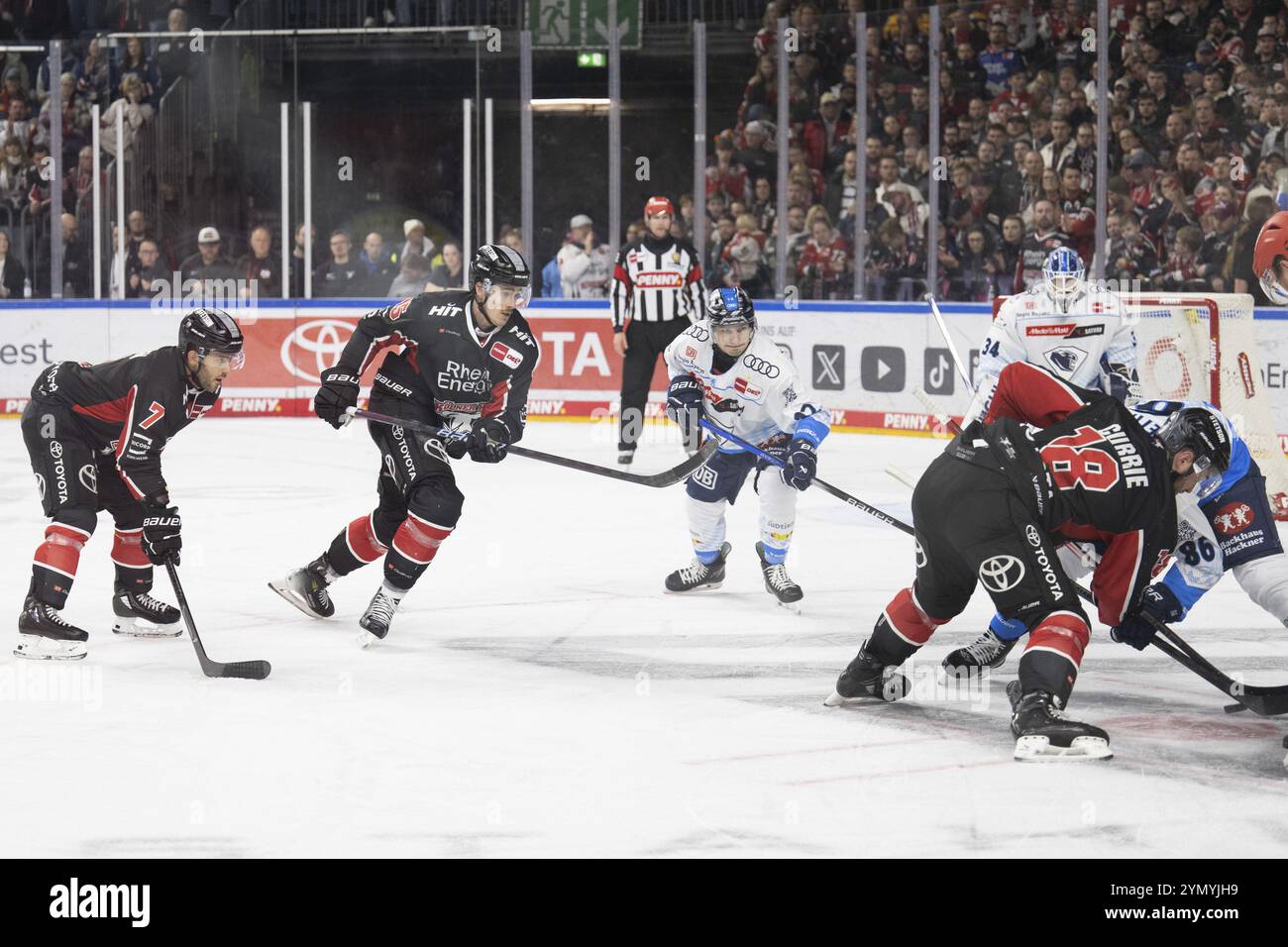 LanxessArena, Rhénanie du Nord-Westphalie, Louis- Marc Aubry (Cologne Sharks, #15), PENNY DEL, Cologne Sharks-ERC Ingolstadt le 22/11/2024 au LanxessAr Banque D'Images