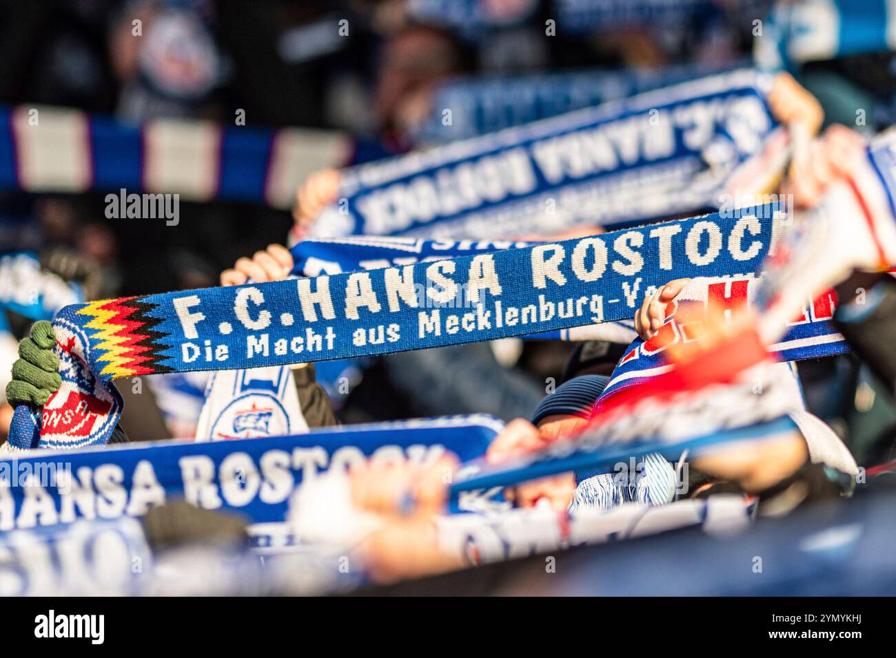 Rostock, Deutschland 23. Novembre 2024 : 3. Liga - 2024/2025 - FC Hansa Rostock v. DSC Arminia Bielefeld Im Bild : Fanschal : Die Macht aus Mecklenburg Vorpommern /// la réglementation DFB interdit toute utilisation de photographies comme séquences d'images et/ou quasi-vidéo. /// Banque D'Images