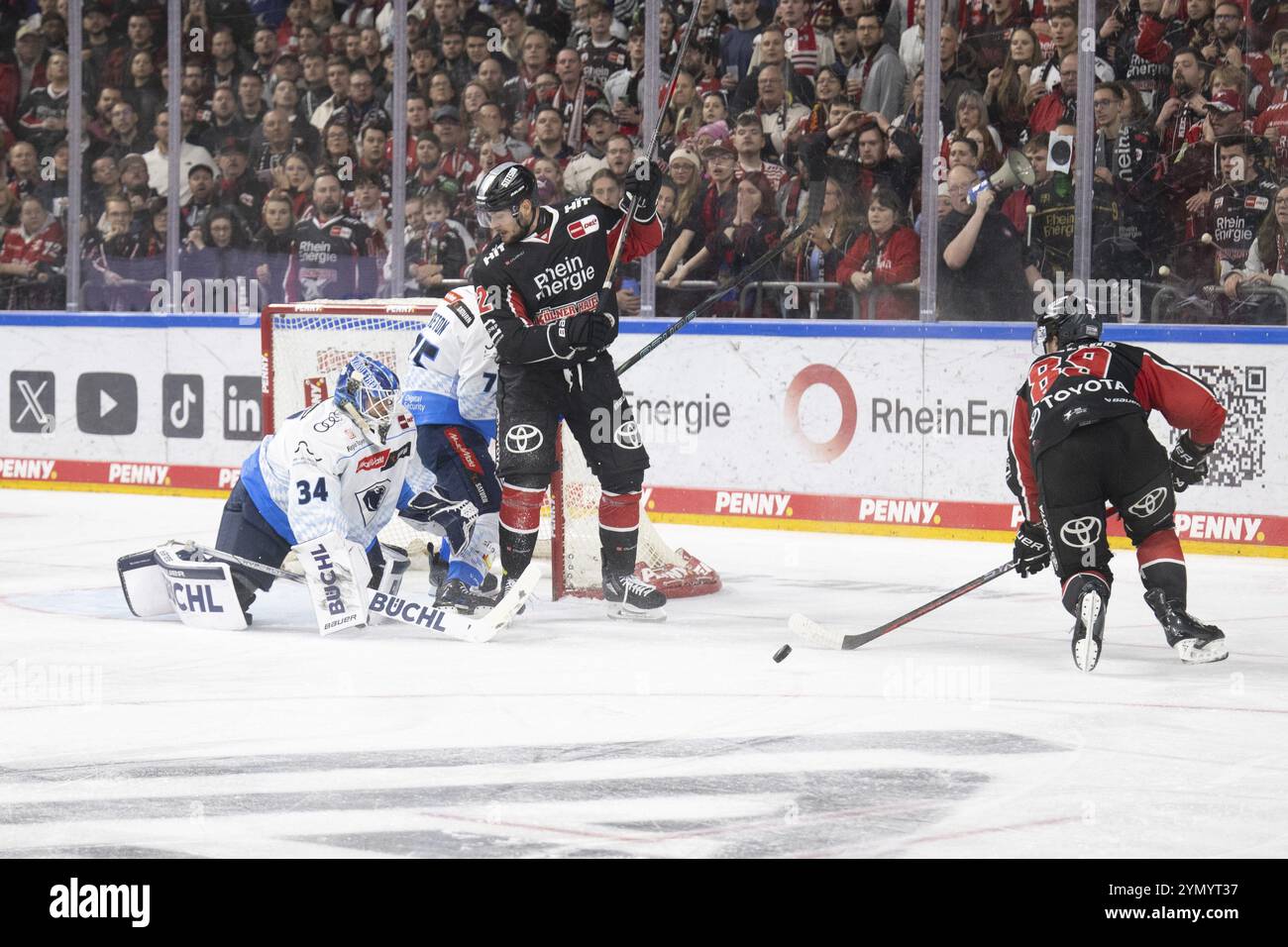 LanxessArena, Rhénanie du Nord-Westphalie, Michael Garteig (ERC Ingolstadt, #34), PENNY DEL, Koelner haie-ERC Ingolstadt le 22/11/2024 à la LanxessArena Banque D'Images