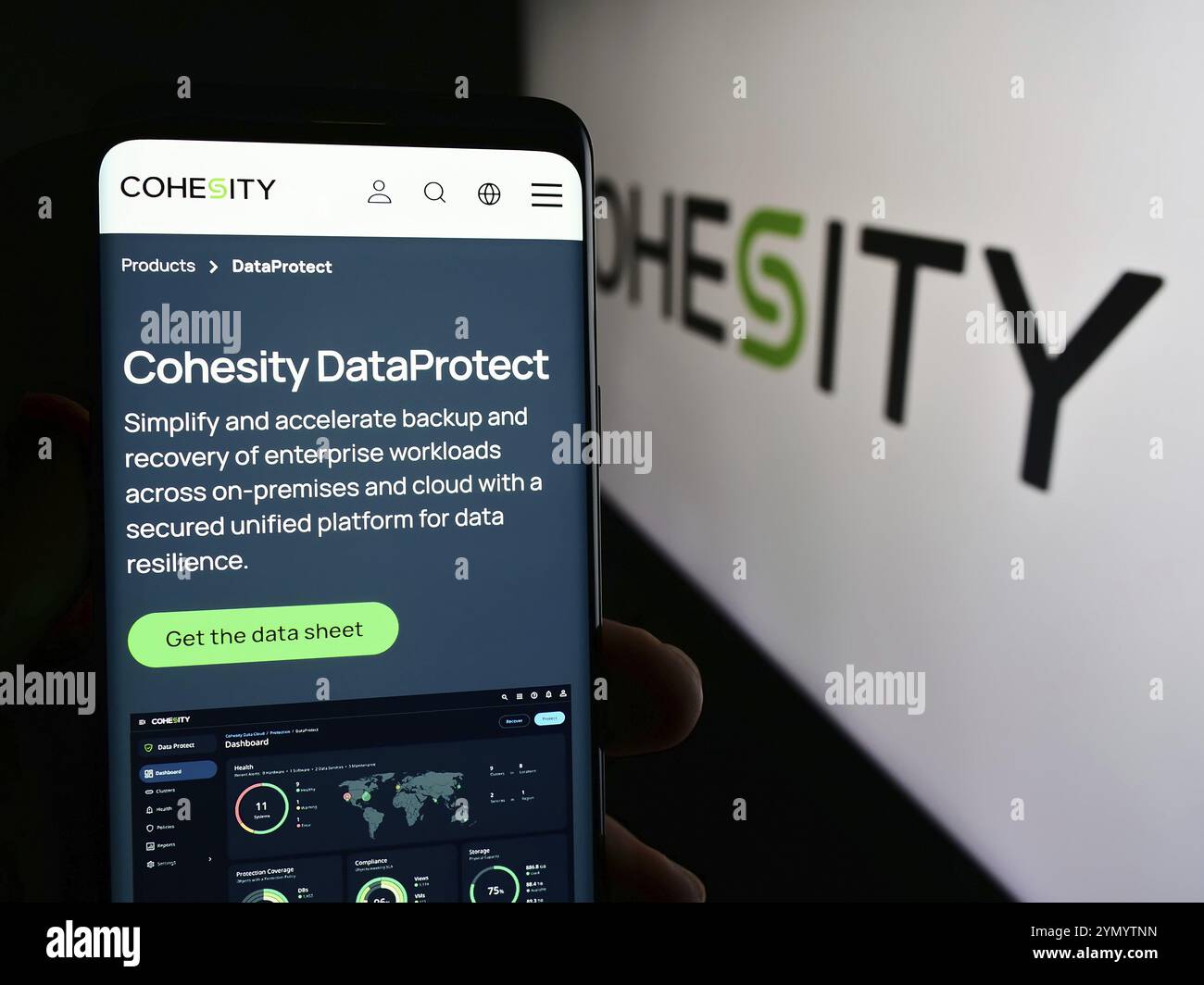 Stuttgart, Allemagne, 05-21-05 2024 : personne tenant un téléphone portable avec la page web de la société américaine de gestion de données Cohesity Inc devant le logo. Concentrez-vous sur cente Banque D'Images