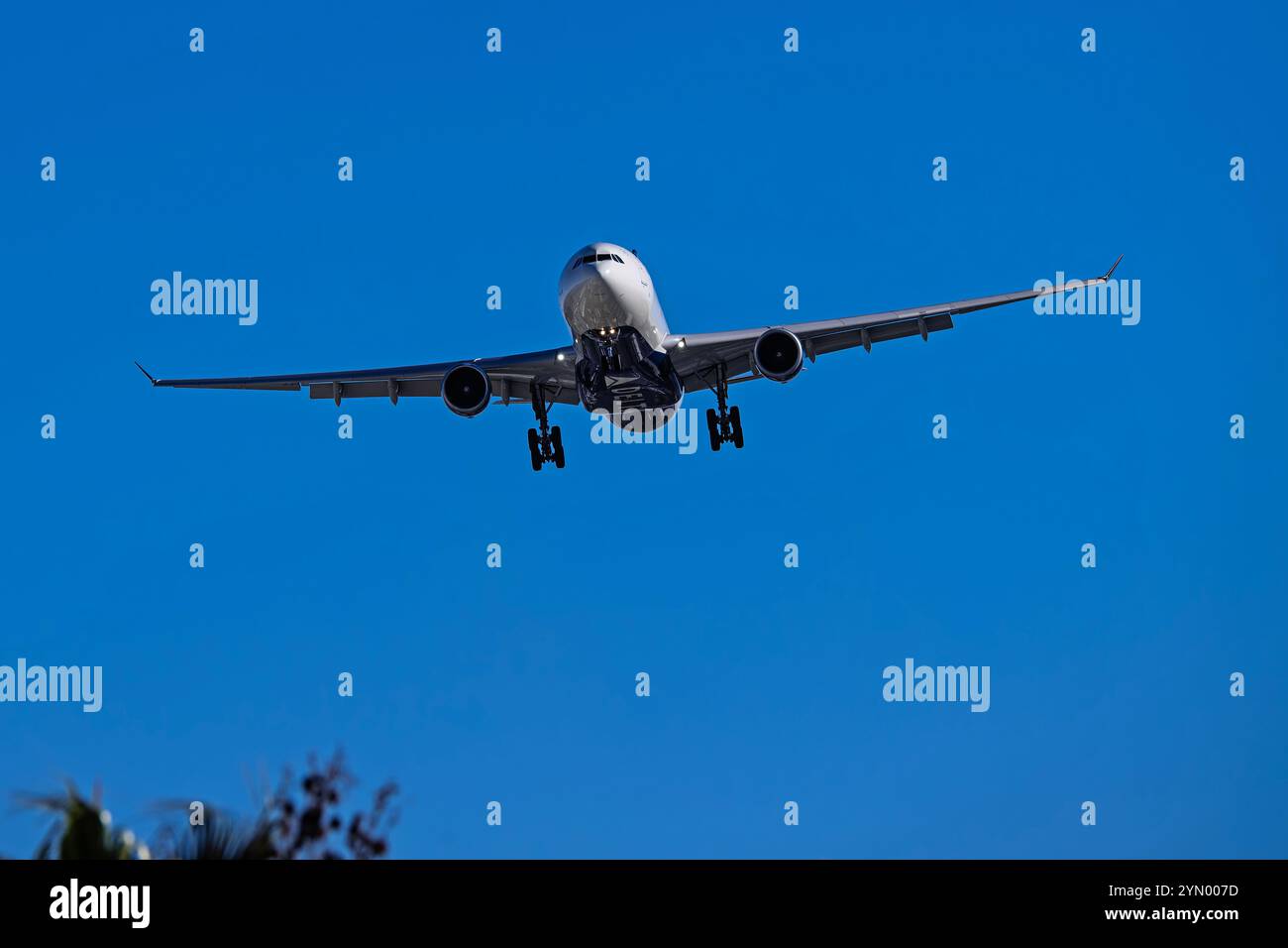 Aéroport international Harry Reid Aéroport 11*23*2024 Las Vegas NV, États-Unis Delta Airlines Airbus A330-300 N824NW arrivée à l'aéroport international Harry Reid Banque D'Images Aéroport international Harry Reid Aéroport 11*23*2024 Las Vegas NV, États-Unis Delta Airlines Airbus A330-300 N824NW arrivée à l'aéroport international Harry Reid Banque D'Images