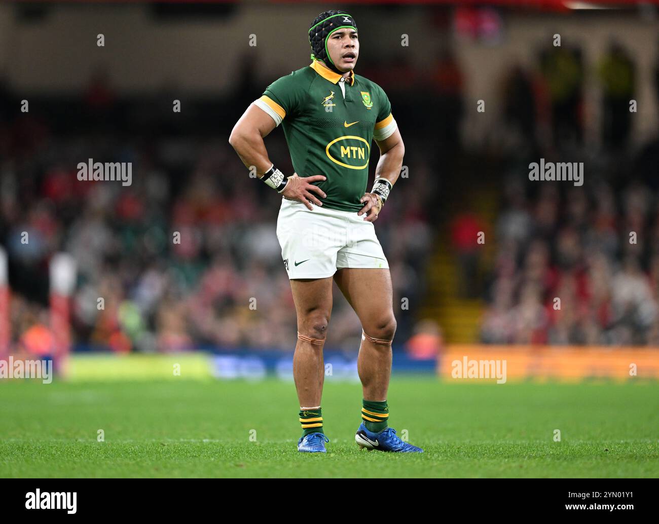 23 novembre 2024 ; Principality Stadium, Cardiff, pays de Galles : Autumn Rugby International, pays de Galles contre Afrique du Sud ; Cheslin Kolbe d'Afrique du Sud Banque D'Images