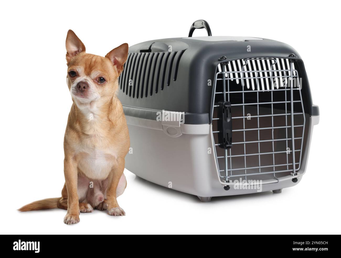 Adorable chien près d'un transporteur d'animal isolé sur blanc Banque D'Images