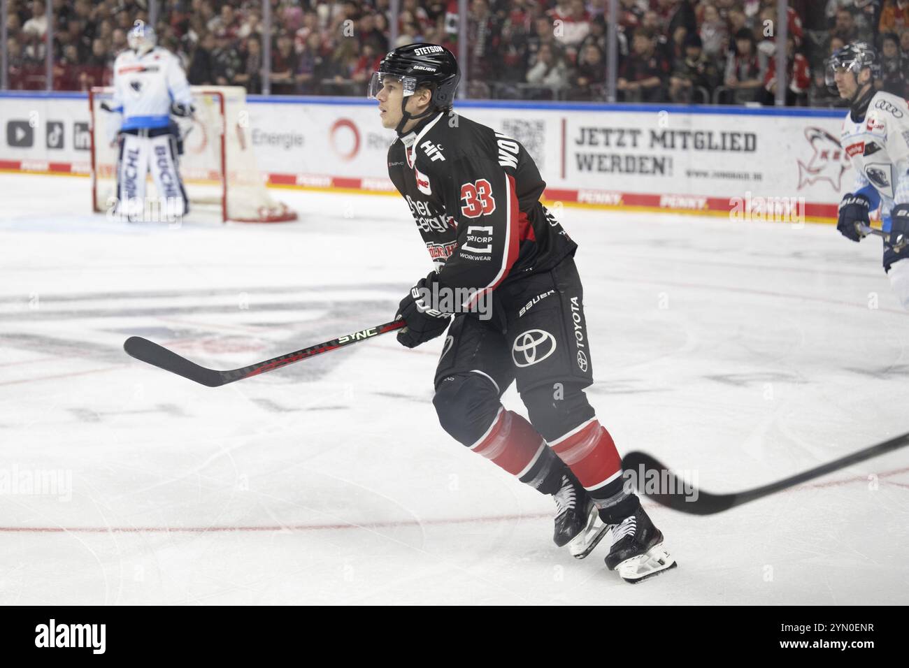 LanxessArena, Rhénanie du Nord-Westphalie, Tim Wohlgemuth (Cologne Sharks, #33), PENNY DEL, Cologne Sharks-ERC Ingolstadt le 22/11/2024 à la LanxessArena Banque D'Images