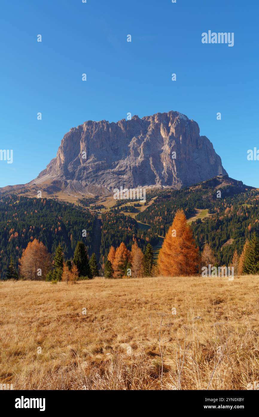 Vue d'automne vers la face nord du Sassolungo Langkafel de Selva Di Val Gardena, Dolomites, Tyrol du Sud - Italie. Banque D'Images