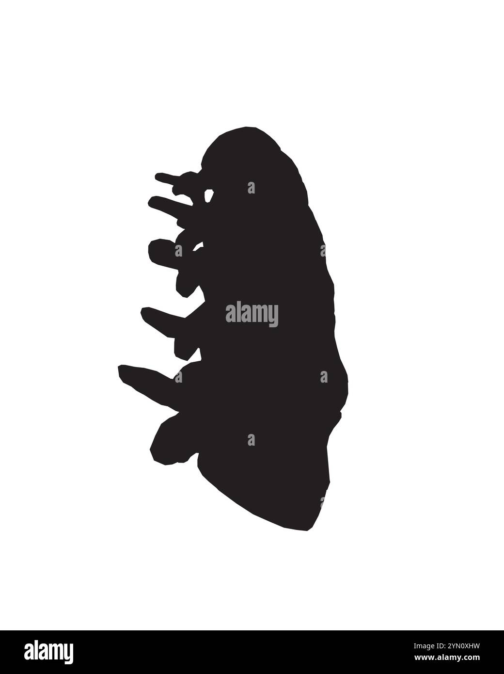 Anatomie silhouette d'un disque humain normal. Illustration du schéma médical de la colonne vertébrale en vue de dessus pour vérifier la hernie discale. nucleus pulposus, annu Illustration de Vecteur