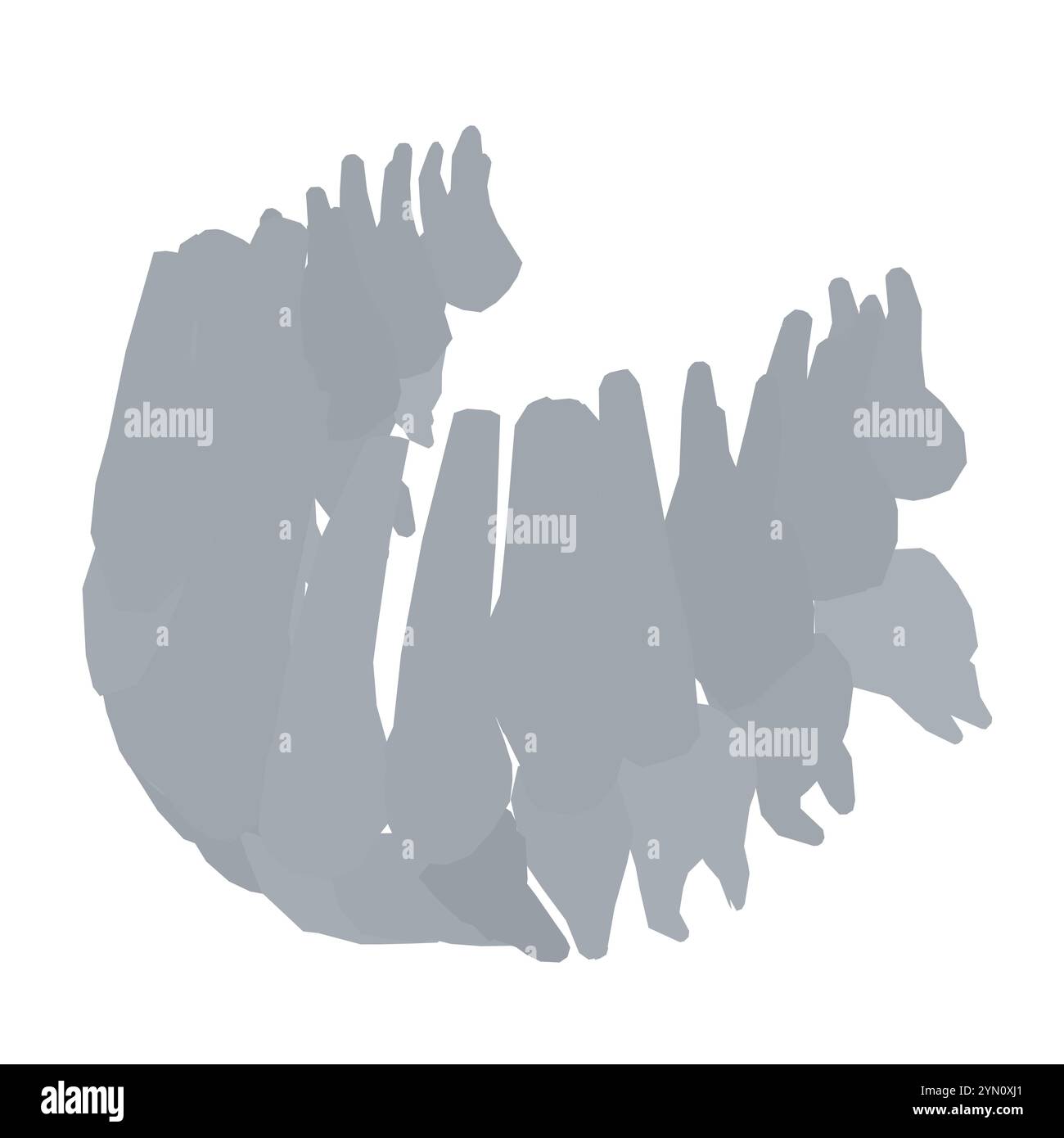 Types de silhouette dentaire. Diverses dents humaines avec racines, molaires, prémolaires, canines. Illustration vectorielle. Illustration de Vecteur