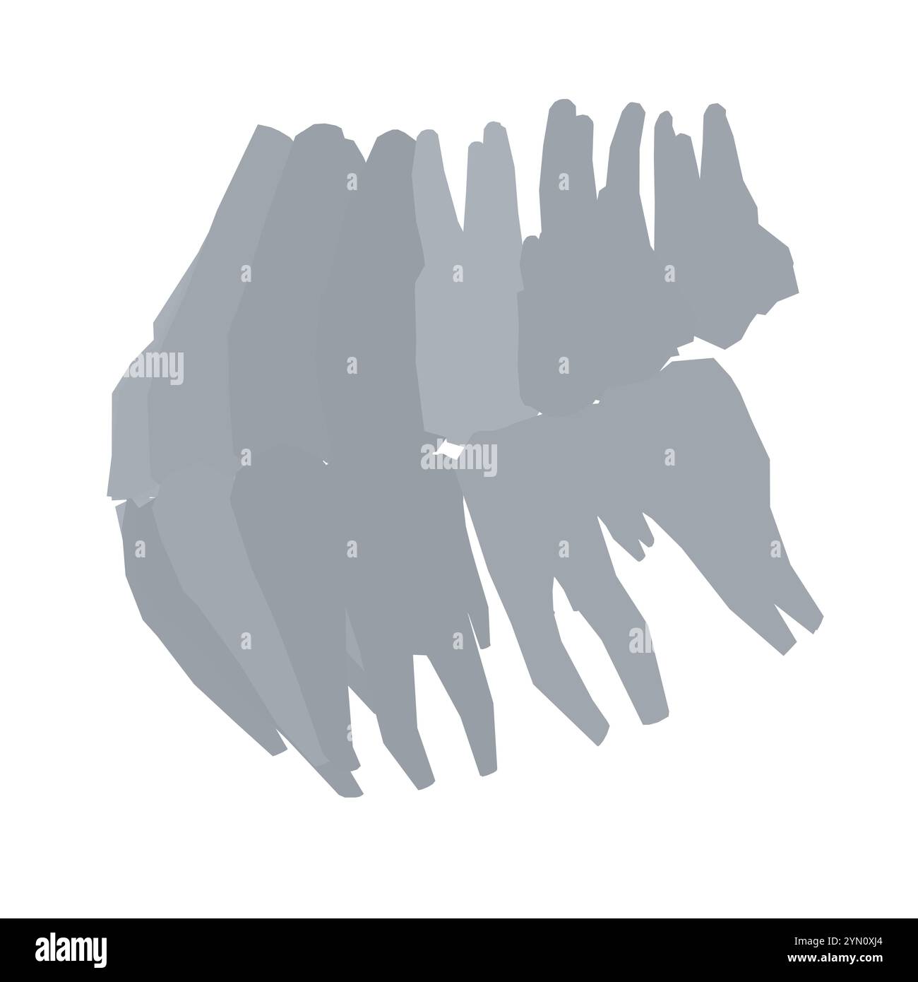 Types de silhouette dentaire. Diverses dents humaines avec racines, molaires, prémolaires, canines. Illustration vectorielle. Illustration de Vecteur