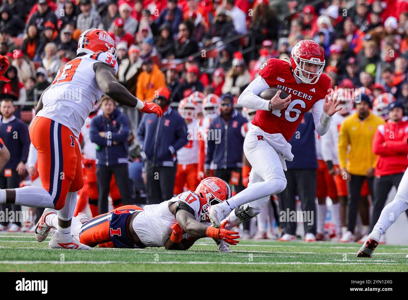 Piscataway, New Jersey, États-Unis. 23 novembre 2024. Le quarterback ATHAN KALIAKMANIS (16 ans) des Rutgers Scarlet Knights se précipite avec le ballon pendant le match entre l'Université Rutgers et Illinois combattant Illini au stade SHI de Piscataway, NJ (crédit image : © Scott Rausenberger/ZUMA Press Wire) USAGE ÉDITORIAL SEULEMENT! Non destiné à UN USAGE commercial ! Crédit : ZUMA Press, Inc/Alamy Live News Banque D'Images