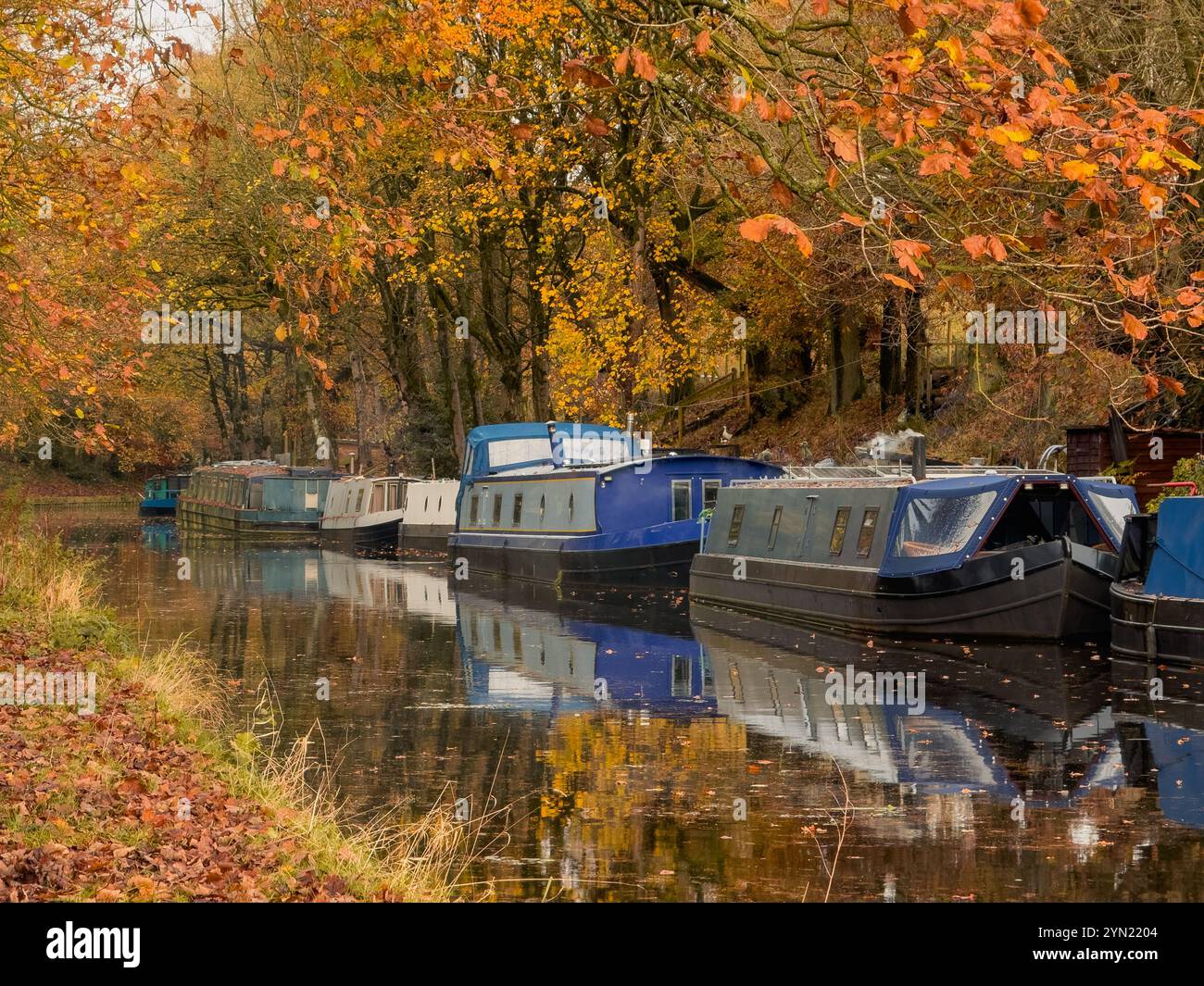 Des bateaux étroits sur le canal de Leeds et Liverpool se reflètent dans l'eau à Adlington près de Chorley, Lancashire UK - Image de stock capturée avec un smartphone