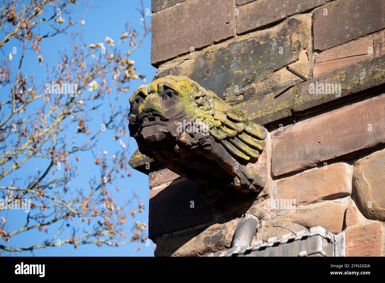 Gargouille sur Cook Street Gate, Coventry, West Midlands, Royaume-Uni Banque D'Images