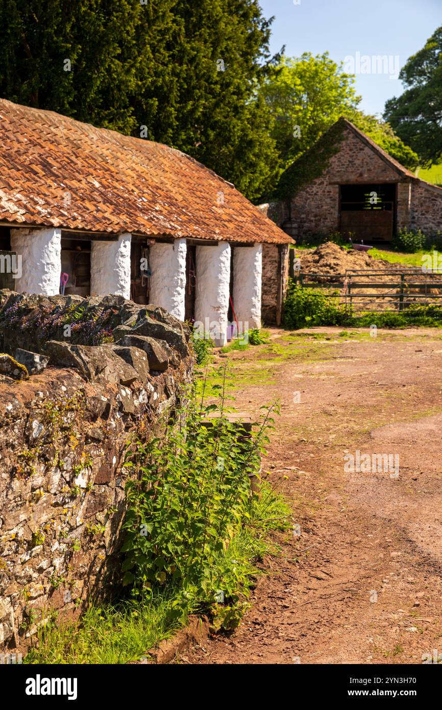 Royaume-Uni, Angleterre, Somerset, Quantocks, Holford, vieux bâtiments de cour de ferme Banque D'Images