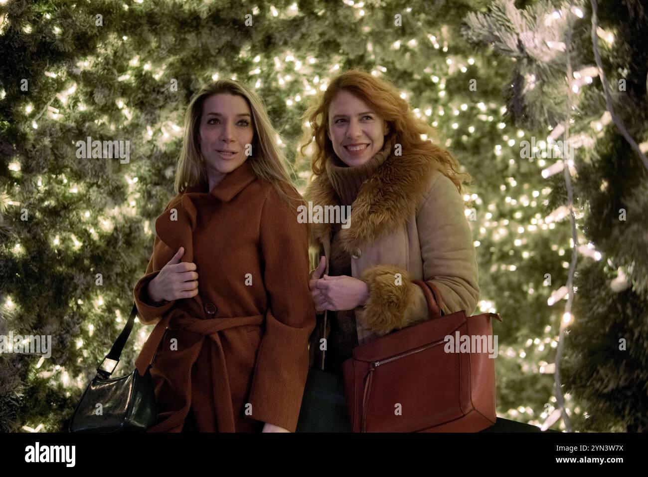 les femmes amies magasinent à noël Banque D'Images