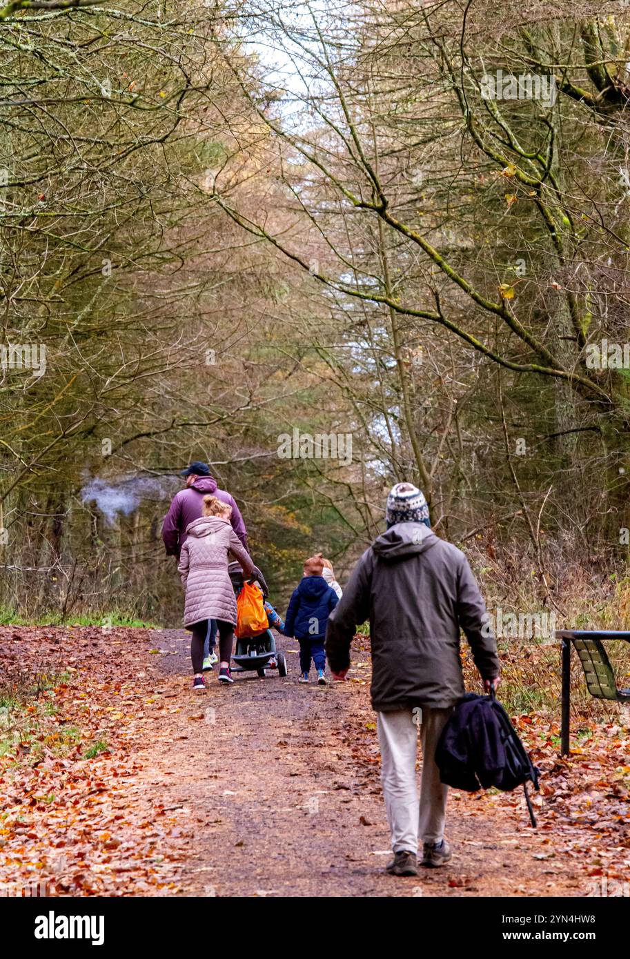 Dundee, Tayside, Écosse, Royaume-Uni. 24 novembre 2024. Météo britannique : après que la tempête Bert eut frappé Dundee avec de la neige, du grésil et des vents violents, le temps s'était éclairci et s'était éclairci et doux. Les habitants ont apprécié une promenade le dimanche dans Templeton Woods en Écosse. Crédit : Dundee Photographics/Alamy Live News Banque D'Images