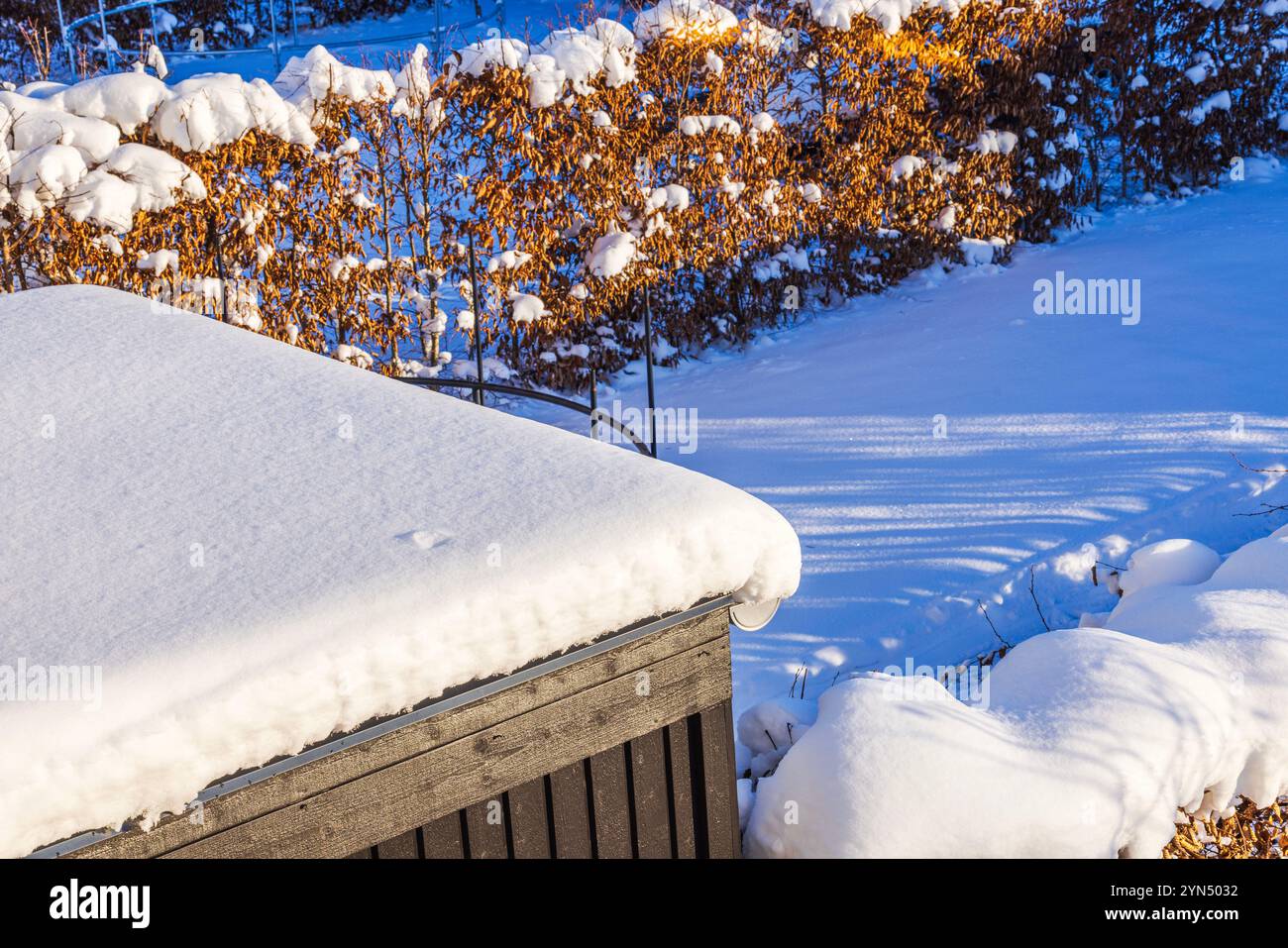 Toit couvert de neige de hangar en bois avec la lumière du soleil projetant des ombres sur le jardin enneigé et les buissons pendant la journée d'hiver. Banque D'Images