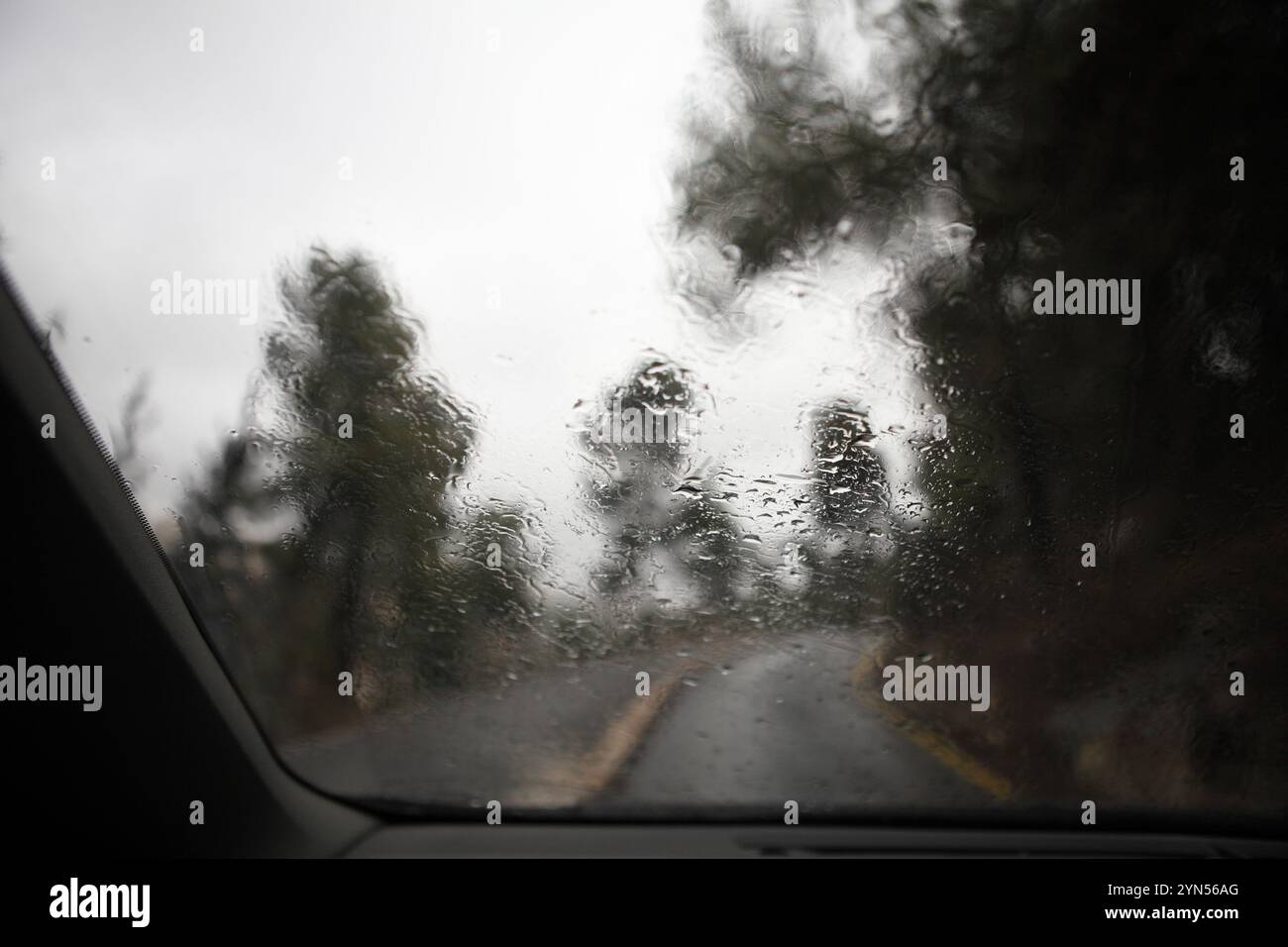 Les pins et les cyprès hors de la mise au point et une route de campagne humide lors d'une journée pluvieuse et brumeuse vue à travers les gouttes de pluie mises au point sur le pare-brise d'une voiture Banque D'Images