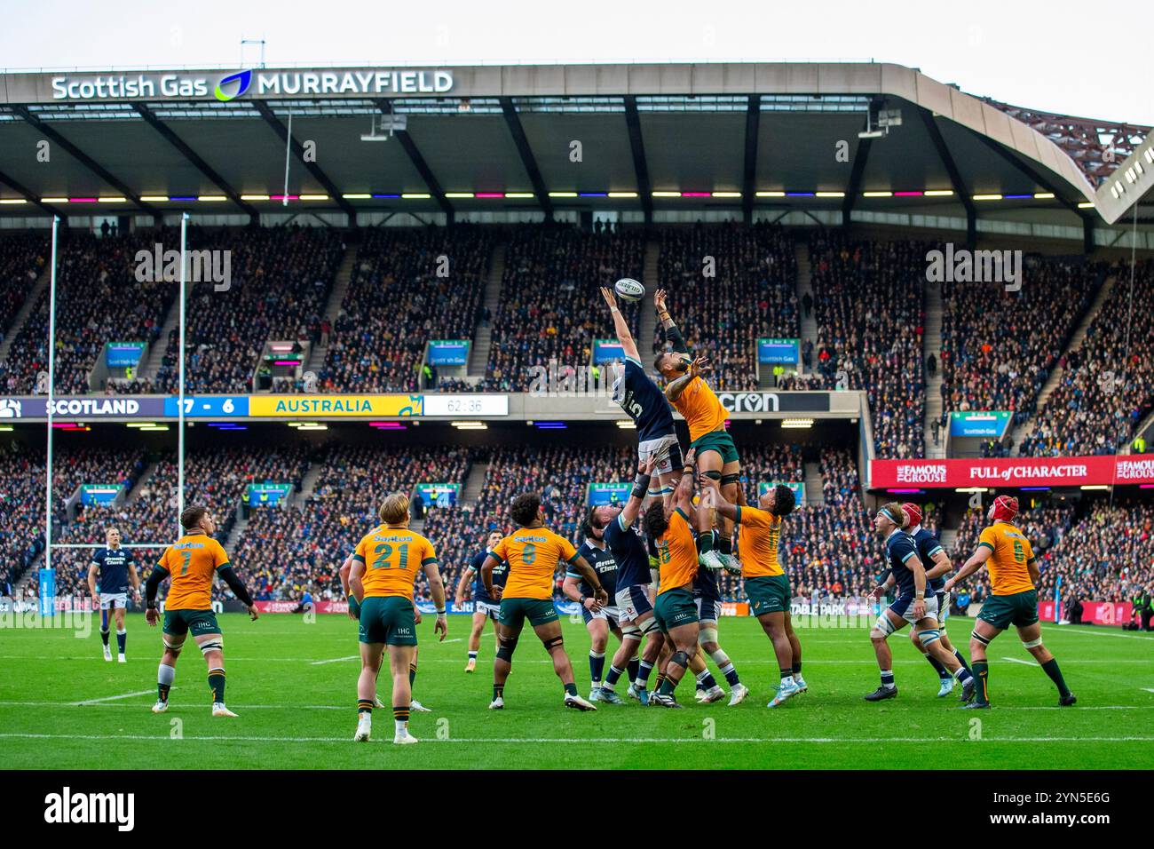 Édimbourg, Royaume-Uni. 24 novembre 2024 ; Murrayfield Stadium, Édimbourg, Écosse : Autumn Rugby International, Écosse contre Australie ; Scott Cummings d'Écosse gagne un crédit de ligne : action plus Sports images/Alamy Live News Banque D'Images