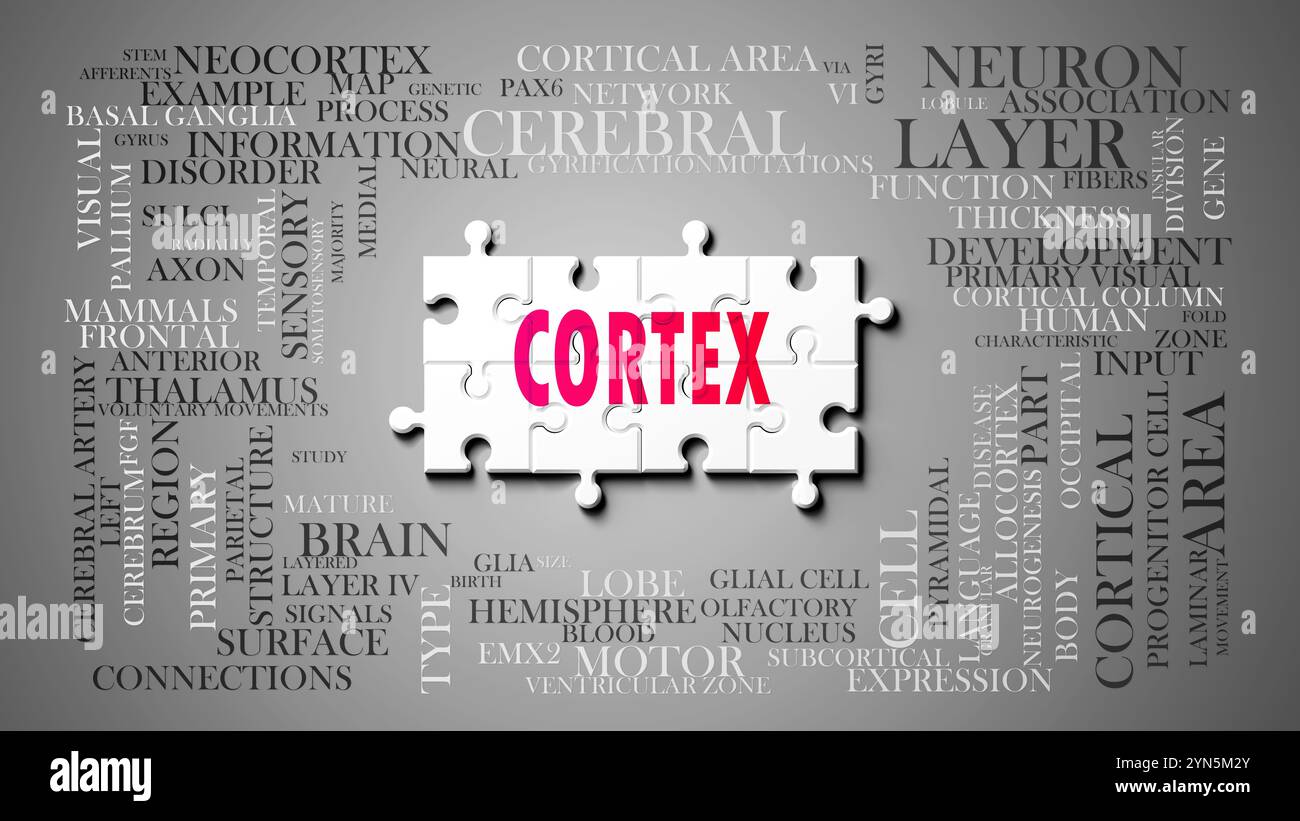 Cortex en tant que sujet complexe, lié à des sujets importants se répandant comme un nuage de mots. Banque D'Images