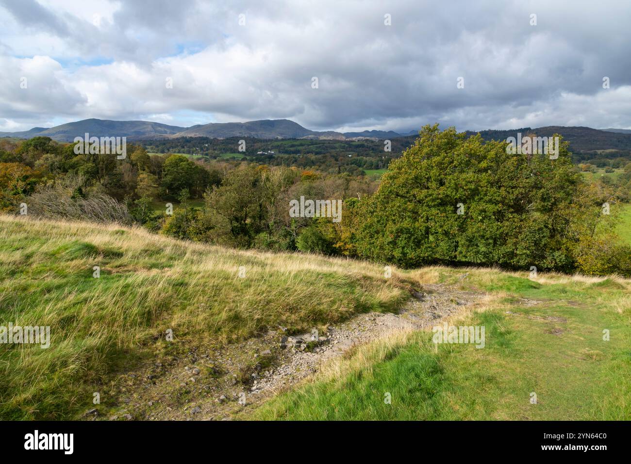 Début de l'automne près de Hawkshead dans le parc national du Lake District, Cumbria, Angleterre. Banque D'Images