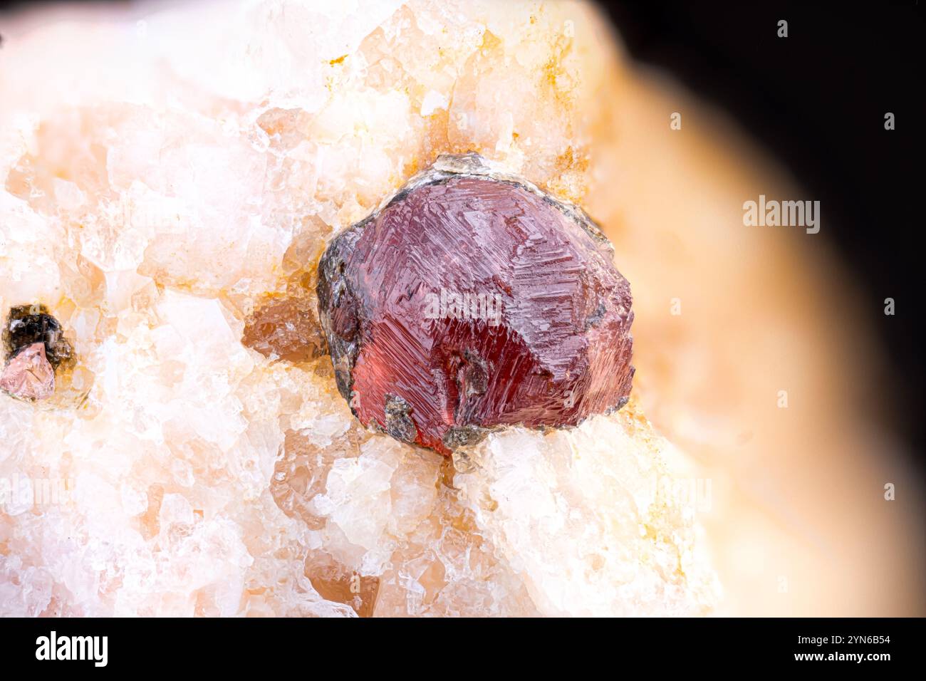 Grenat rouge. Spécimen de Jaujac, France. Micro photographie en gros plan. Photographie de cristal minéral au microscope pour usage scientifique Banque D'Images