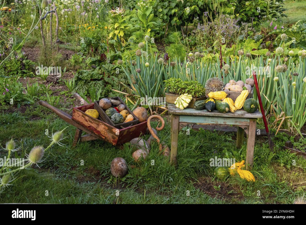 HOBBITON, NOUVELLE-ZÉLANDE, 20 JANVIER 2023, célèbre village Hobbiton à Matamata tiré des films le Hobbit et le Seigneur des anneaux, Nouvelle-Zélande, Océanie Banque D'Images