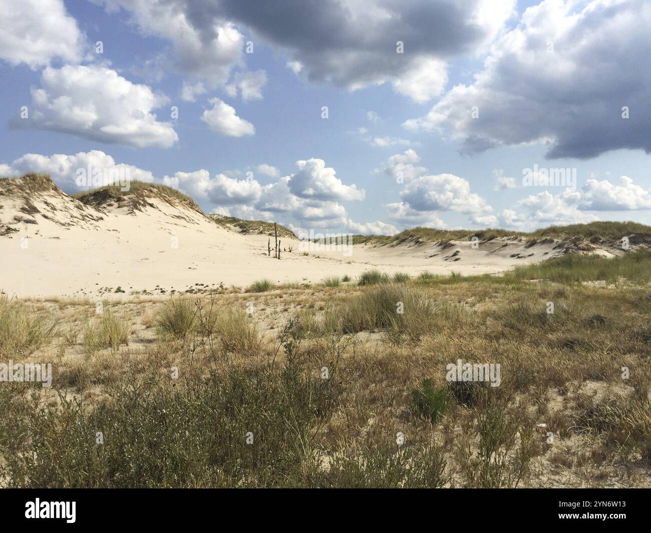 Impressionnantes dunes mouvantes dans le parc national de Slowinski près de Leba, Pologne, Europe Banque D'Images