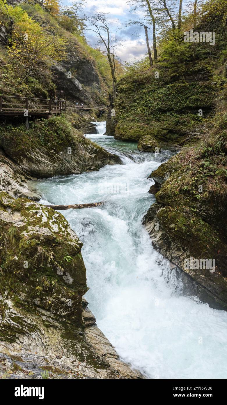 Pittoresque rivière sauvage coulant à travers la gorge de Vintgar, Slovénie, Europe Banque D'Images