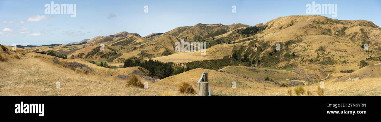 Terres agricoles et collines rurales sèches dans le district de Marlborough, île du Sud de la Nouvelle-Zélande Banque D'Images