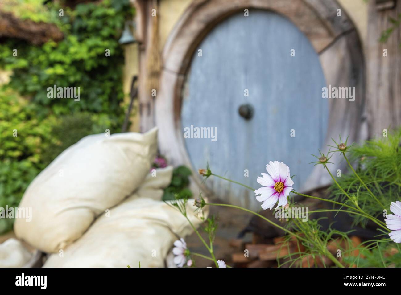 HOBBITON, NOUVELLE-ZÉLANDE, 20 JANVIER 2023, célèbre village Hobbiton à Matamata tiré des films le Hobbit et le Seigneur des anneaux, Nouvelle-Zélande, Océanie Banque D'Images