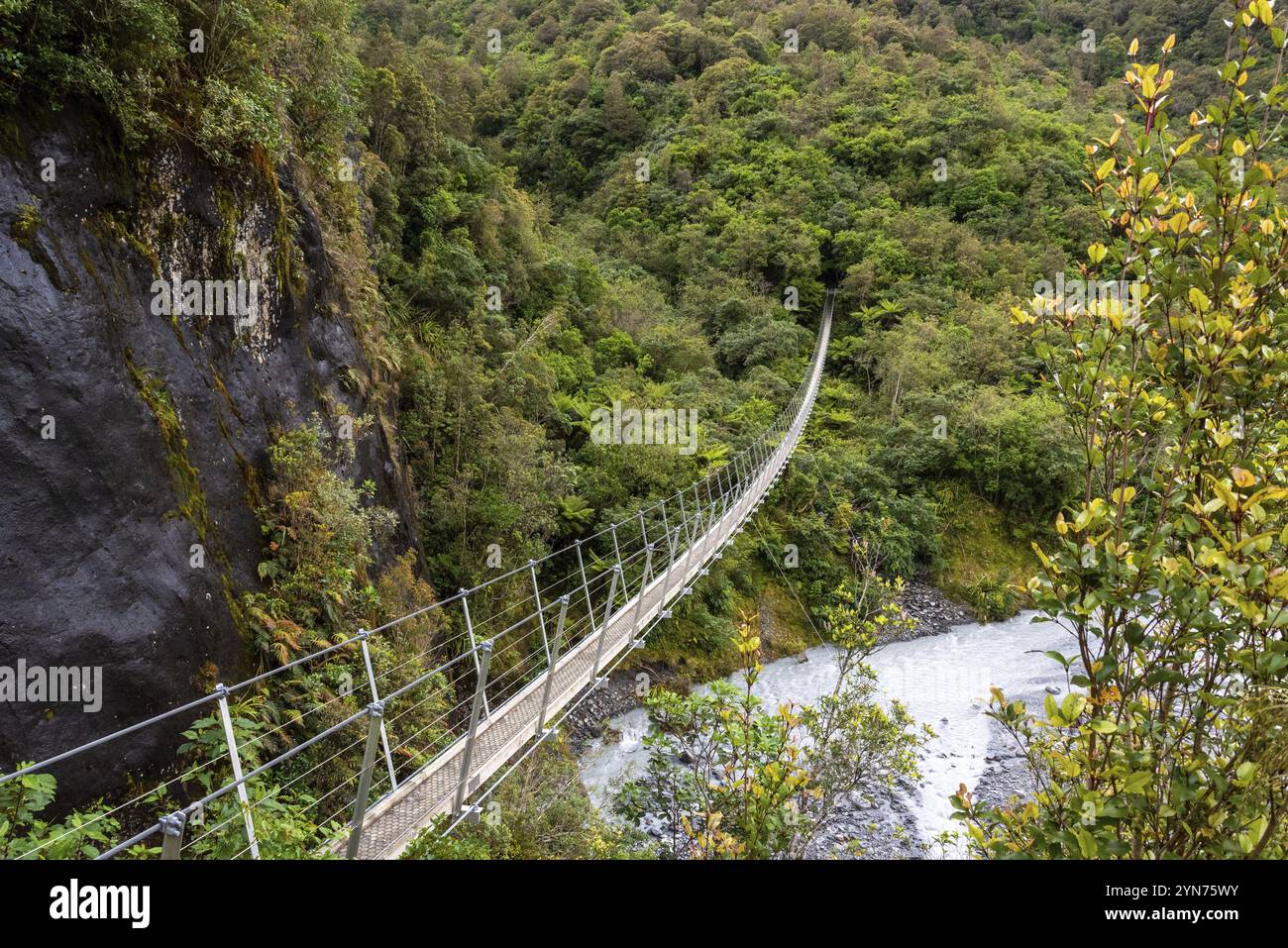 Pont suspendu sur la piste Roberts point dans le parc national du glacier Franz Josef, Nouvelle-Zélande, Océanie Banque D'Images