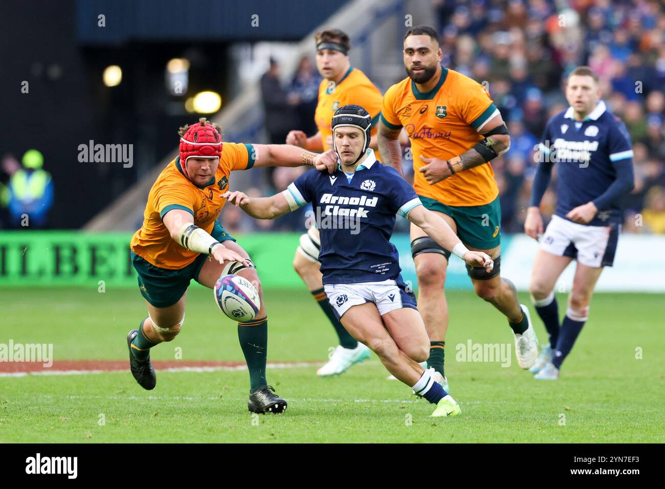 Édimbourg, Écosse. 24 novembre 2024. Darcy Graham et Harry Wilson s'affrontent pour le ballon lors du célèbre Grouse Nations Series match entre l'Écosse et l'Australie au Scottish Gas Murrayfield Stadium, à Édimbourg. Crédit : Connor Douglas/Alamy Live News Banque D'Images