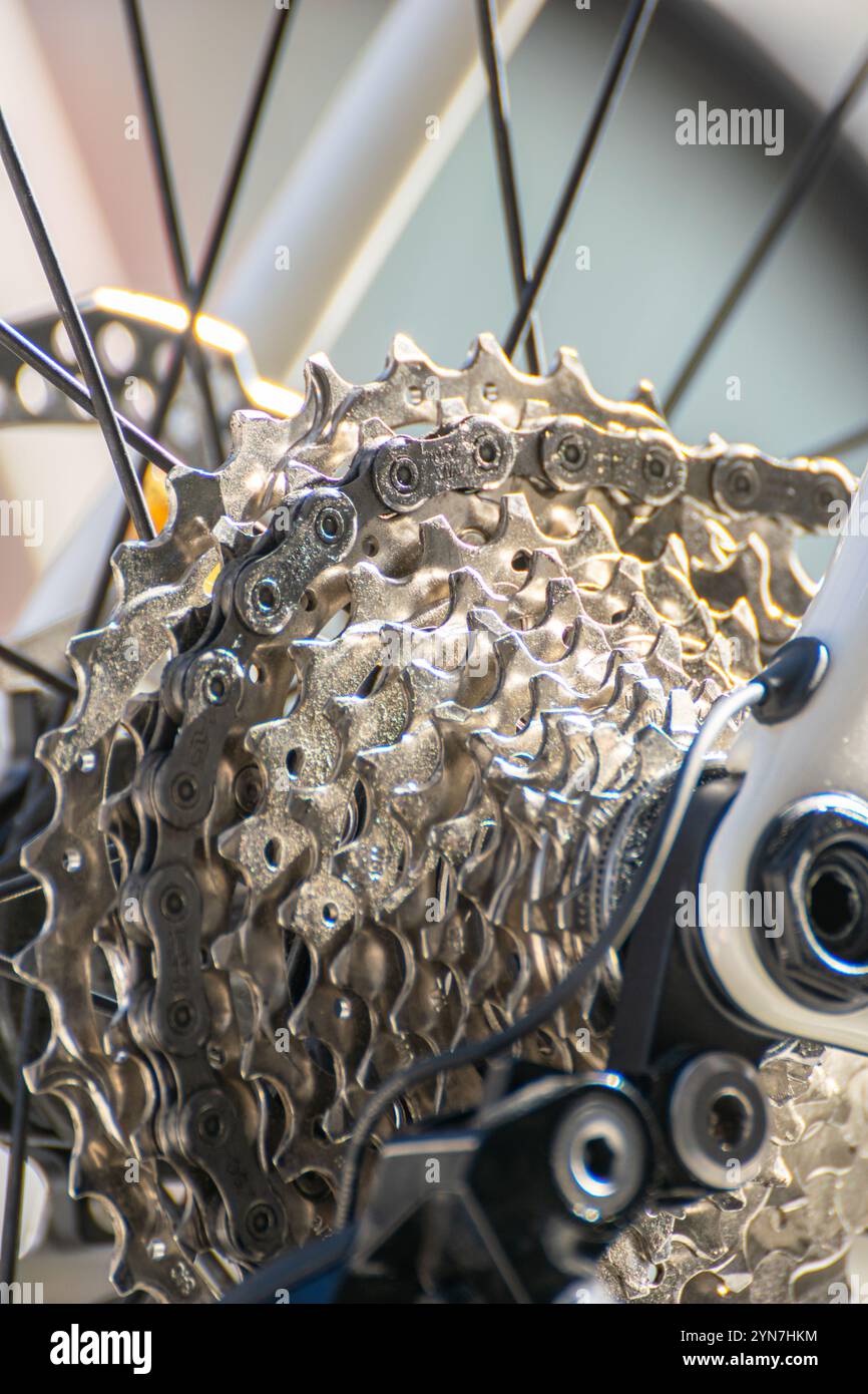 roues dentées pour bicyclette de course sur route Banque D'Images