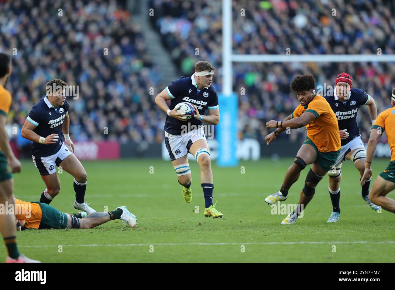 Edimbourg, Écosse, Royaume-Uni, 24 novembre 2024 - Scott Cummings à l'attaque pour l'Écosse. Scotland v Australia at Murrayfield, Edinburgh.- Credit : Thomas Gorman/Alamy Live News Banque D'Images