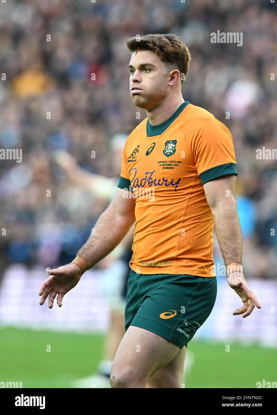 Édimbourg, Royaume-Uni. 24 novembre 2024. Andrew Kellaway, australien, lors du match des Autumn Nation Series au Murrayfield Stadium, à Édimbourg. Le crédit photo devrait se lire : Neil Hanna/Sportimage crédit : Sportimage Ltd/Alamy Live News Banque D'Images