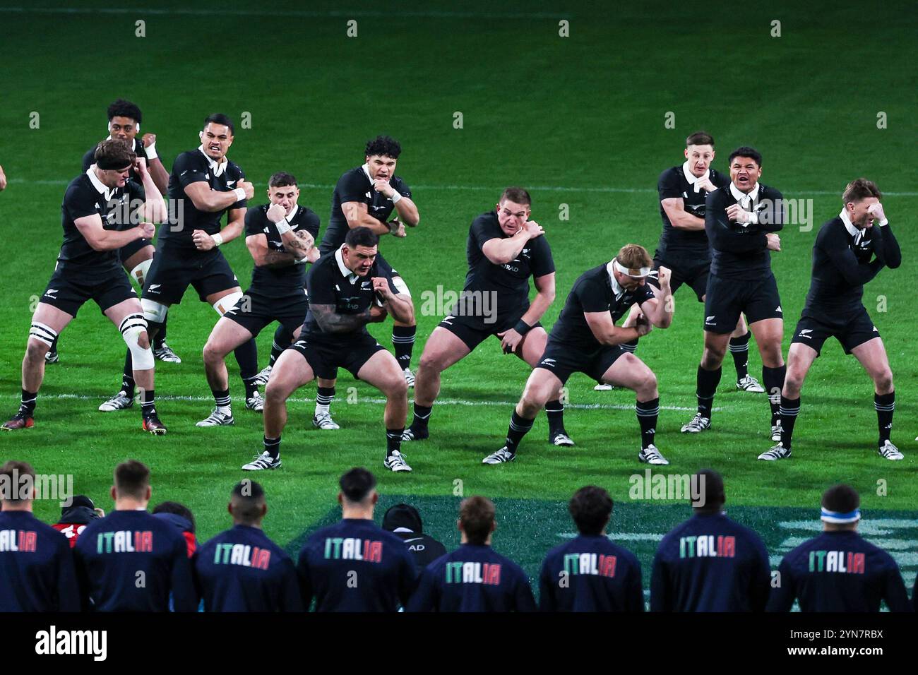 Turin, Italien. 23 novembre 2024. Les All Blacks de Nouvelle-Zélande jouent le Haka lors du match de l'Autumn Nations Series 2025 entre l'Italie et la Nouvelle-Zélande (All Blacks) au stade Allianz. Score final Italie 11 | 29 Nouvelle-Zélande crédit : dpa/Alamy Live News Banque D'Images