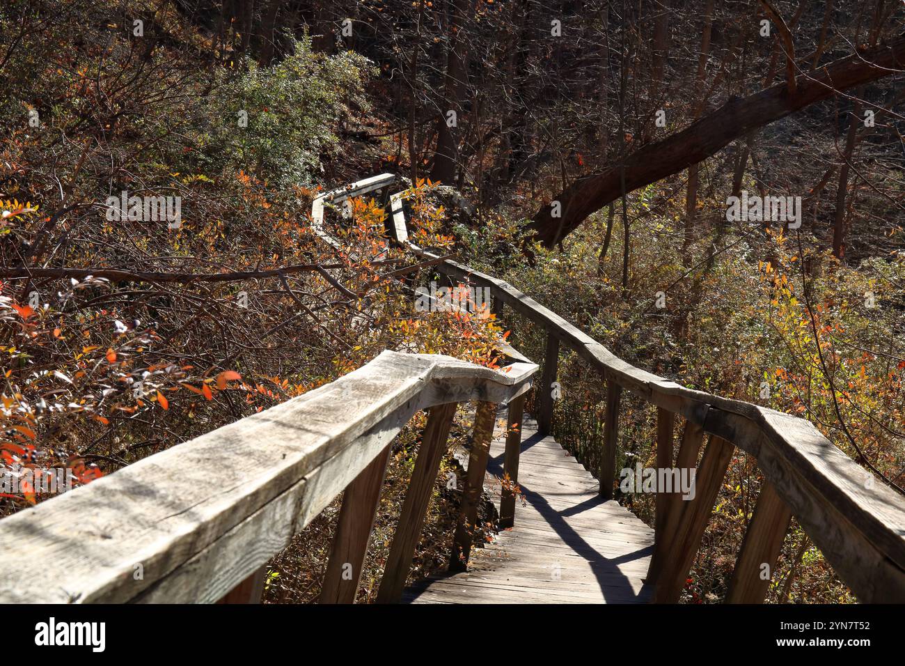 Old Crooked Bridge teste la foi et le courage des randonneurs Banque D'Images