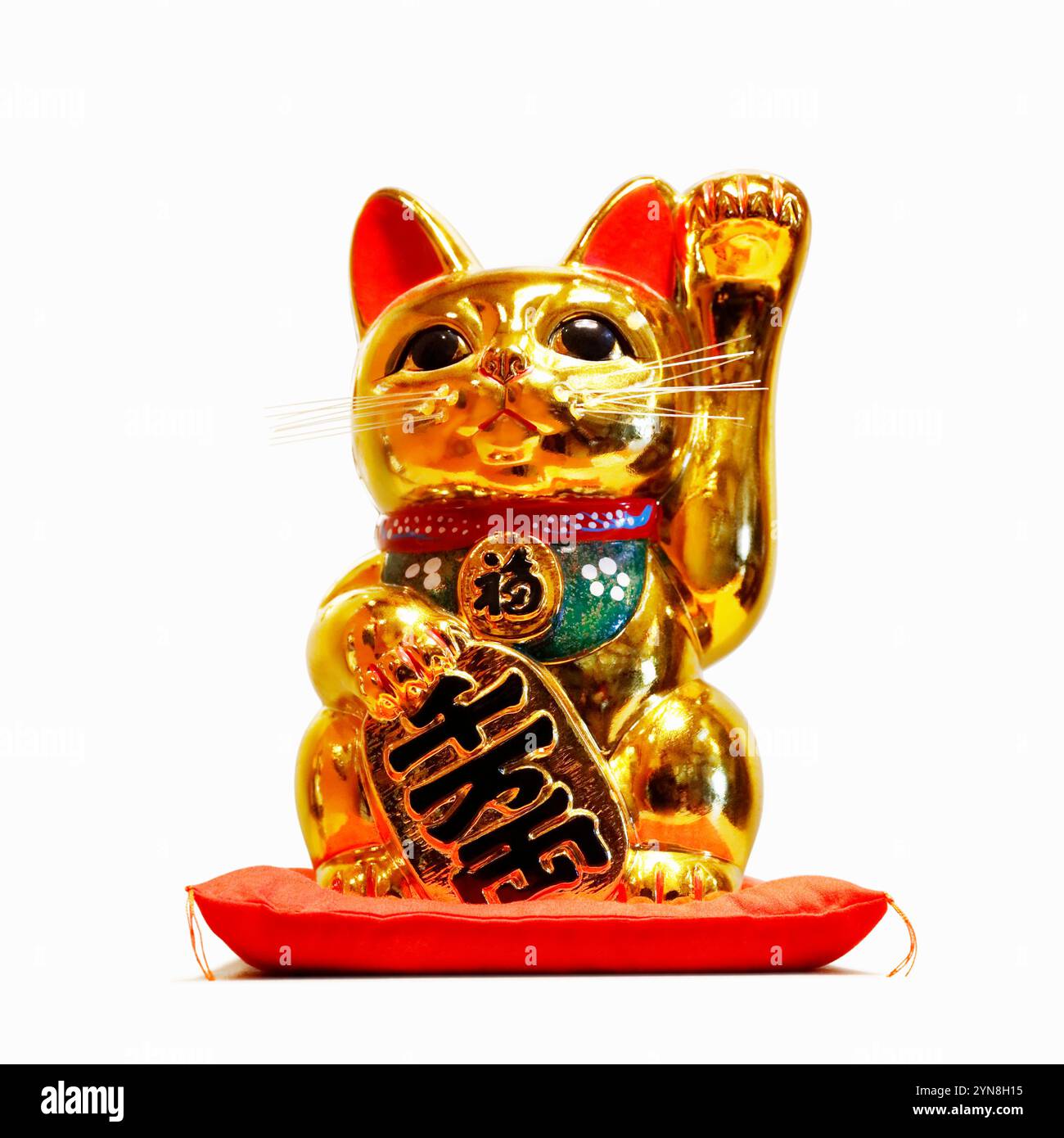 Chat doré Banque D'Images