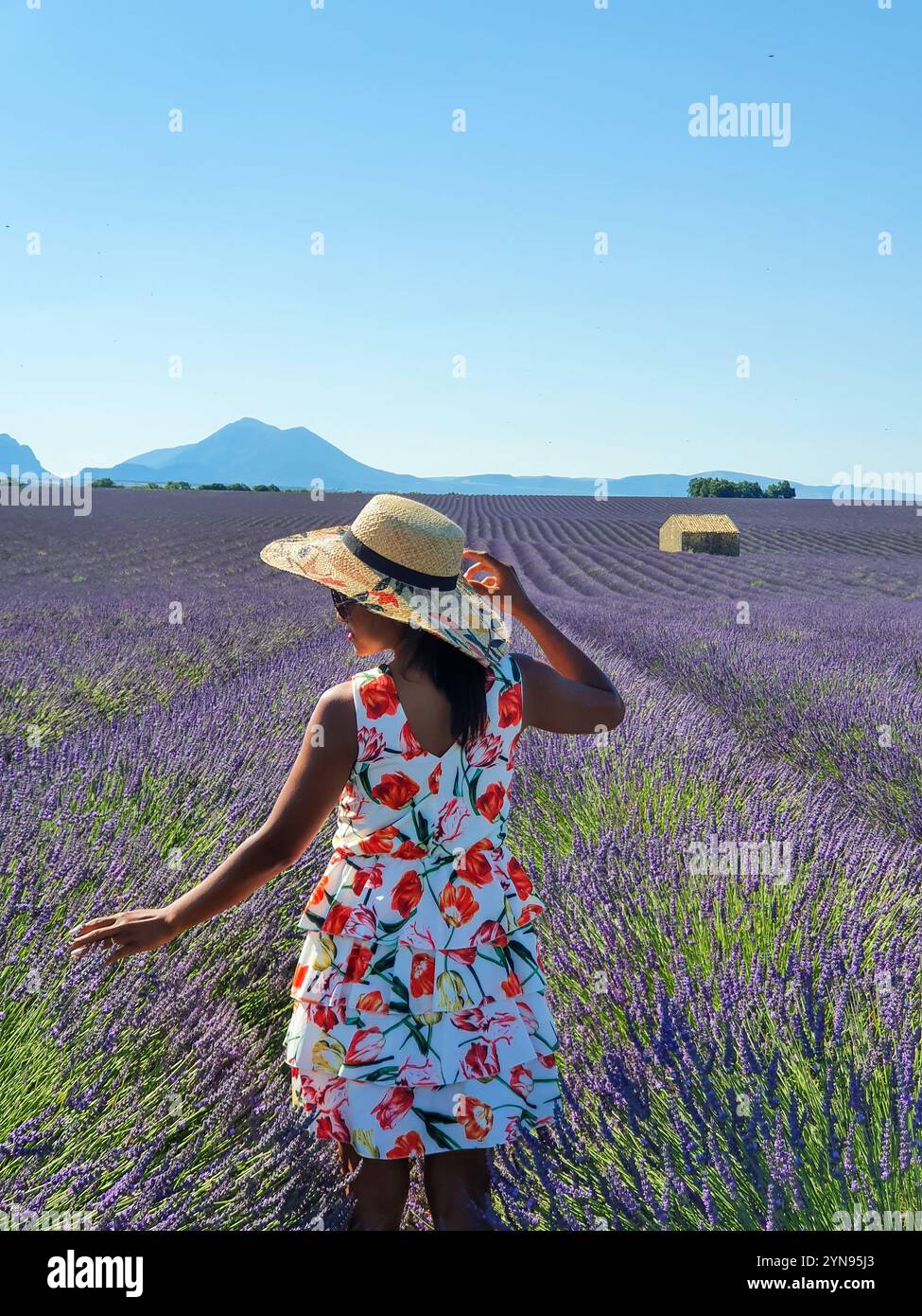 Sous un ciel bleu radieux, une jeune femme en robe florale se promène dans des fleurs de lavande vibrantes, profitant de la sérénité d'une journée d'été dans la campagne de Provence France Banque D'Images