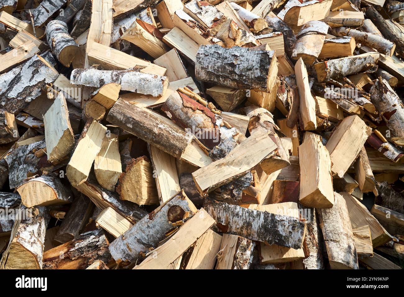 Pile de bois de chauffage de bouleau avec bloc de coupe à la main. Bois de chauffage haché pour l'hiver. Beaucoup de bois de chauffage - récolte de bois pour chauffer la maison. Pho. Horizontale Banque D'Images