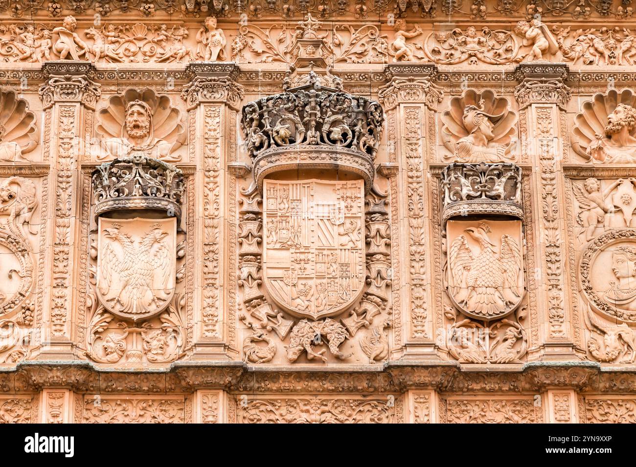 Des motifs complexes en pierre et des symboles royaux ornent l'extérieur de l'historique Universidad de Salamanca, mettant en valeur sa beauté architecturale. Banque D'Images Des motifs complexes en pierre et des symboles royaux ornent l'extérieur de l'historique Universidad de Salamanca, mettant en valeur sa beauté architecturale. Banque D'Images