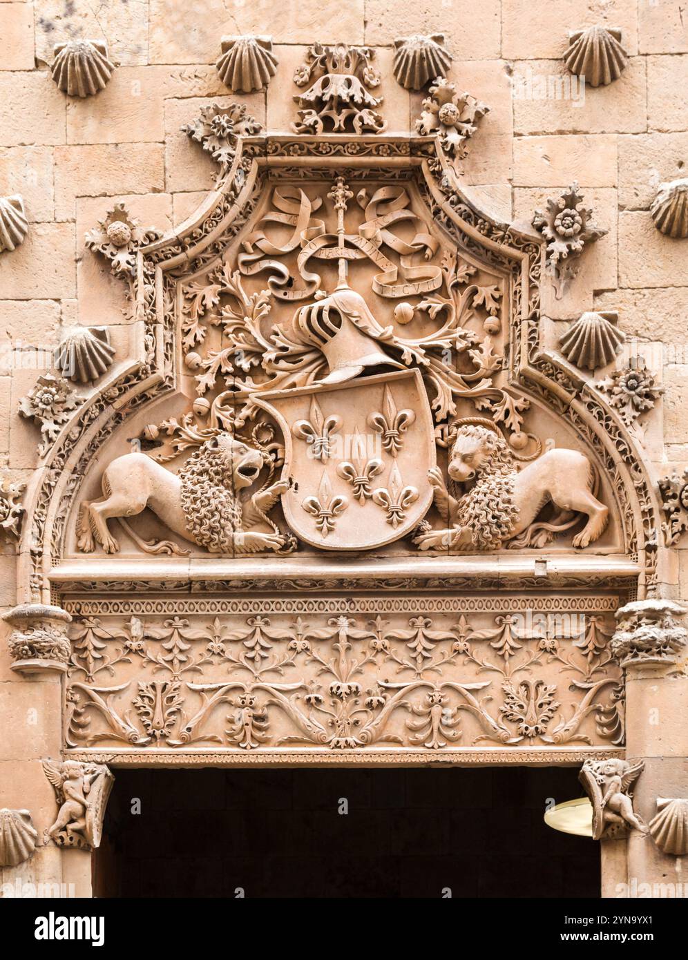 La pierre ornée représente deux lions gardant un blason dans un ancien bâtiment du quartier historique de Salamanque. Banque D'Images