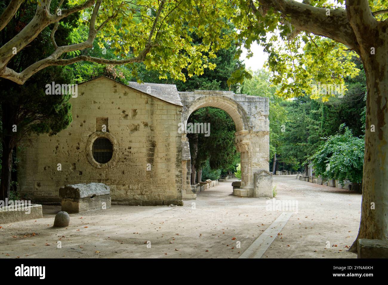 France, Bouches du Rhône, Arles, les Alyscamps, cimetière historique, L'allée des sarcophages et Saint Césaire l'ancienne église, site classé au patrimoine mondial de l'UNESCO Banque D'Images