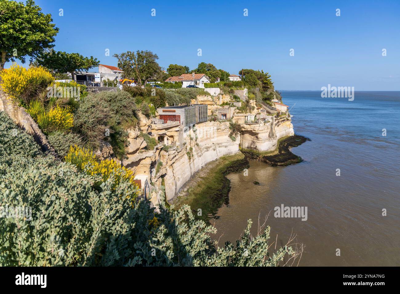 France, Charente-maritime, Saintonge, Côte de beauté, estuaire de la Gironde, Meschers-sur-Gironde, falaises d'habitations troglodytes des grottes de Regulus Banque D'Images