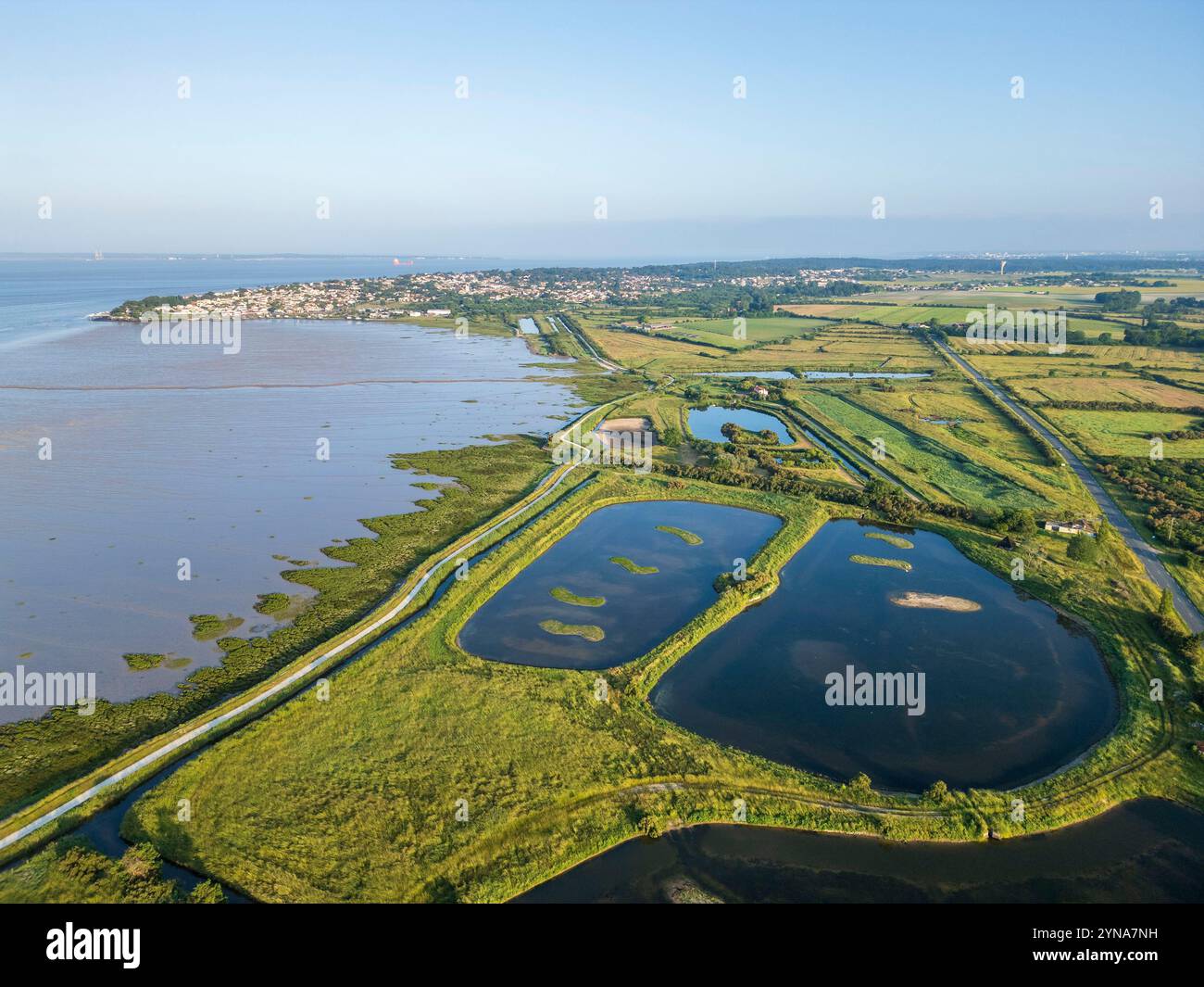 France, Charente-maritime, estuaire de la Gironde, site de Port Maran entre Meschers-sur-Gironde et Talmont-sur-Gironde, marais côtier avec Meschers-sur-Gironde en arrière-plan (vue aérienne) Banque D'Images