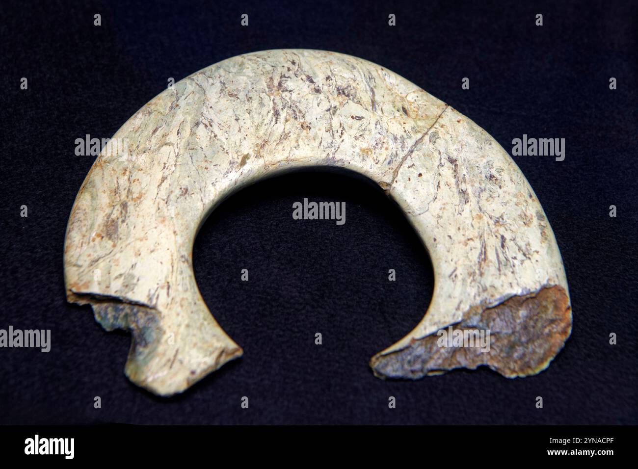 France, Morbihan (56), Carnac, musée de la préhistoire de Carnac, Moustéro, île de Groix, anneau à très large couronne en roche de schistose avec grenats Banque D'Images
