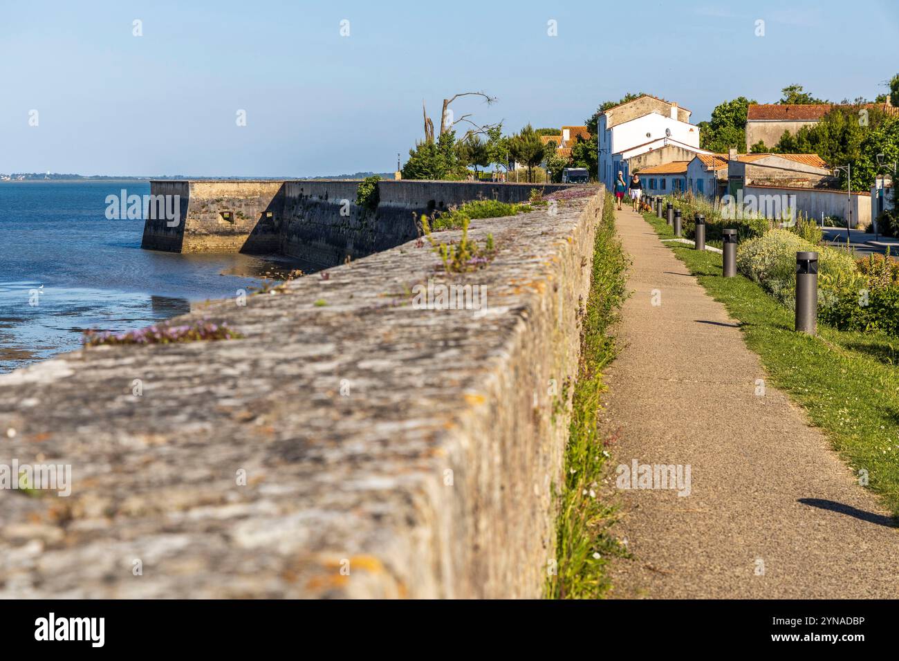 France, Charente-maritime, le Château-d'Oléron, route des remparts de la citadelle Banque D'Images